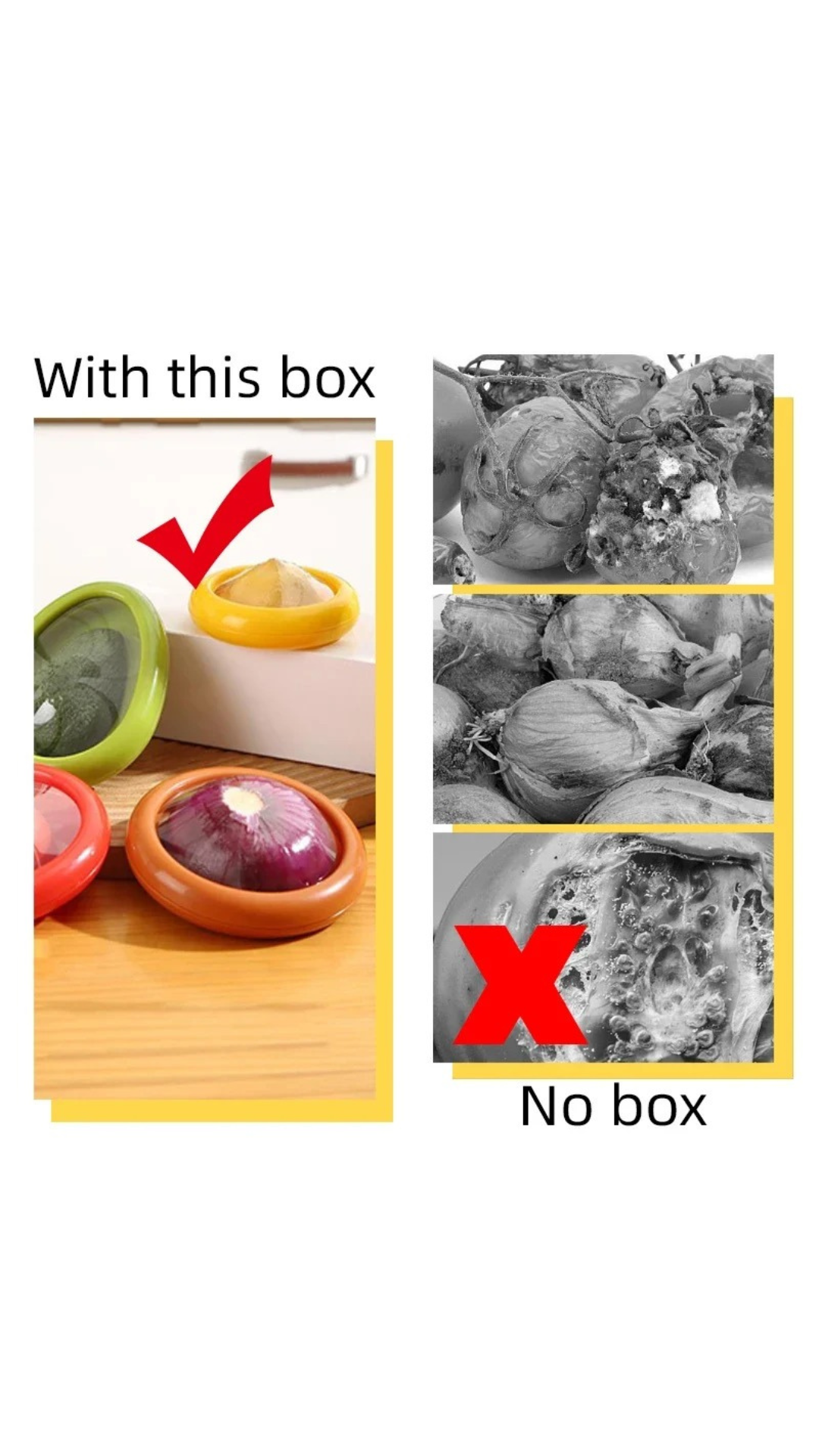 FruitSafe™ – Compact Fresh Storage Box