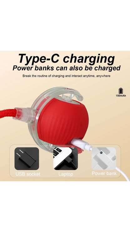 PurrChase™ – The Smart Rolling Ball for Endless Feline Fun