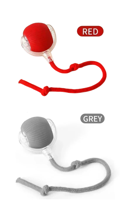 PurrChase™ – The Smart Rolling Ball for Endless Feline Fun