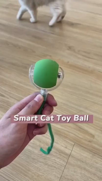 PurrChase™ – The Smart Rolling Ball for Endless Feline Fun